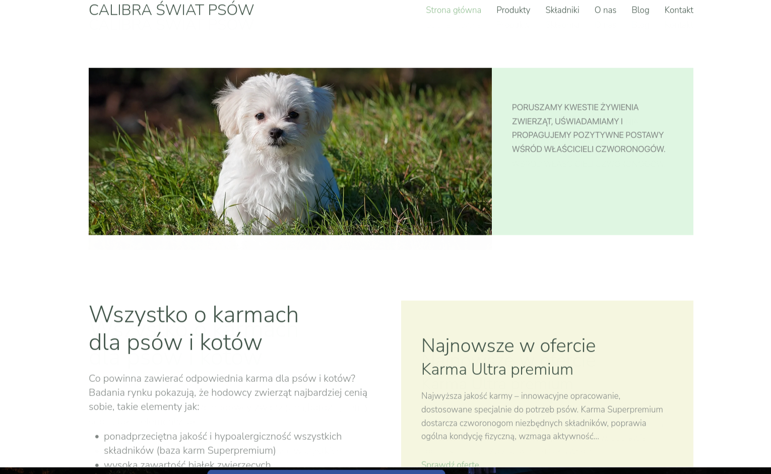 Strona internetowa o karmach dla psów i kotów.